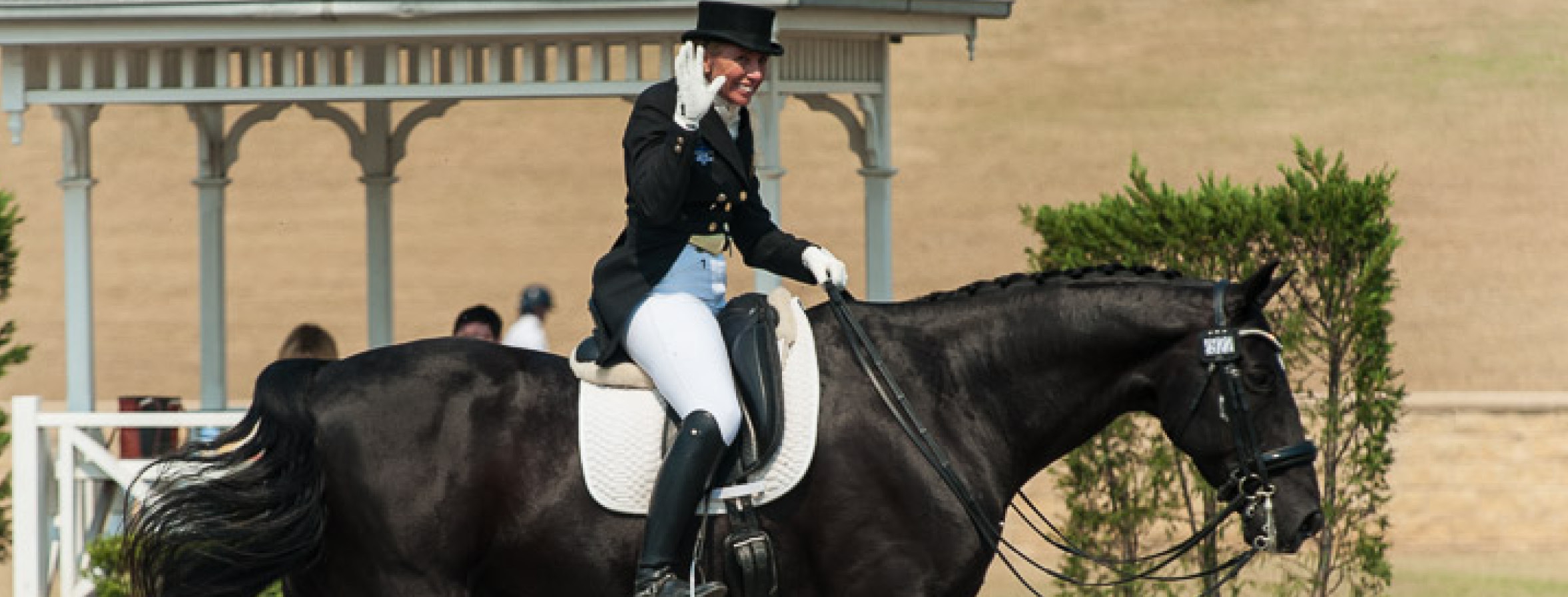 Young Horse & Pony Dressage Tests | Equestrian Australia